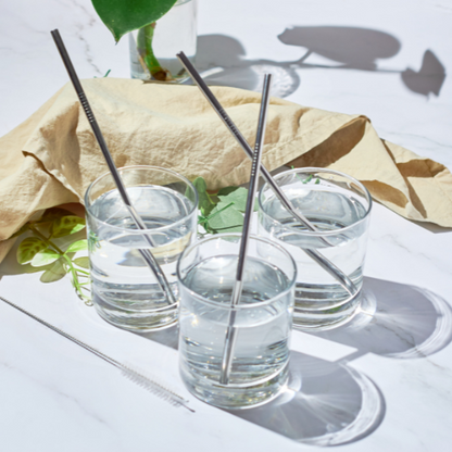 Reusable Stainless Steel Straws
